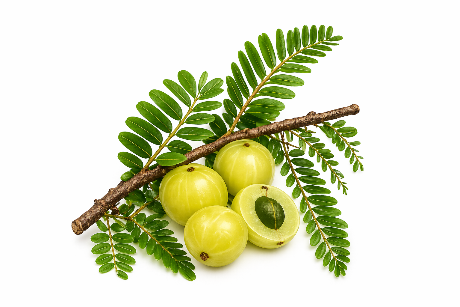 Amla – Indische Stachelbeere