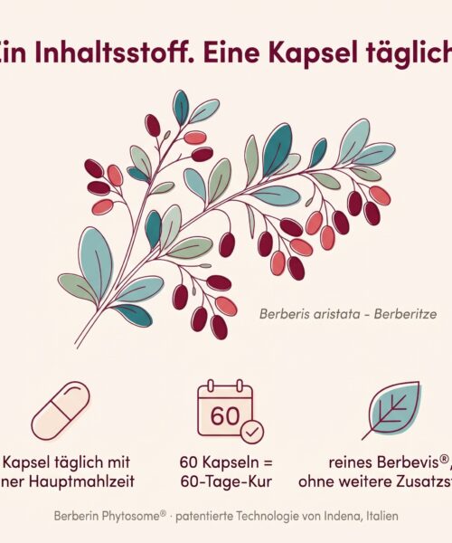 Berberin Phytosome® – Bild 2