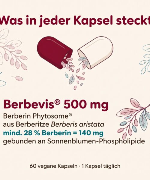 Berberin Phytosome® – Bild 3
