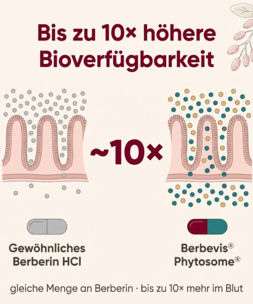 Berberin Phytosome® – Bild 4