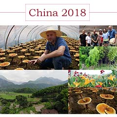 Bilder aus der Reise nach China in 2018