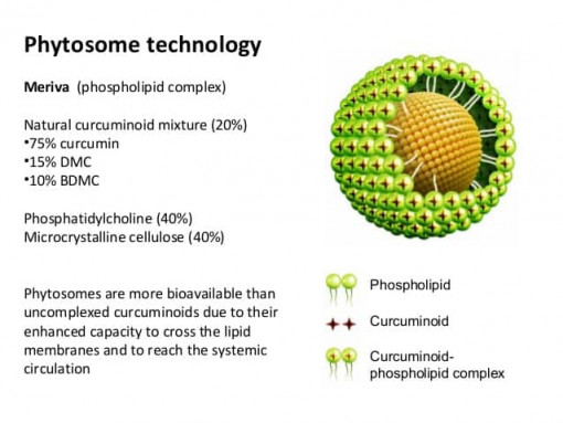 Beschreibung von der Phytosometechnologie